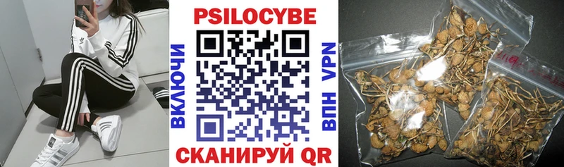 Галлюциногенные грибы MAGIC MUSHROOMS  blacksprut зеркало  Апшеронск 